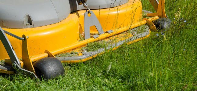 lawn-mower-ready.jpg